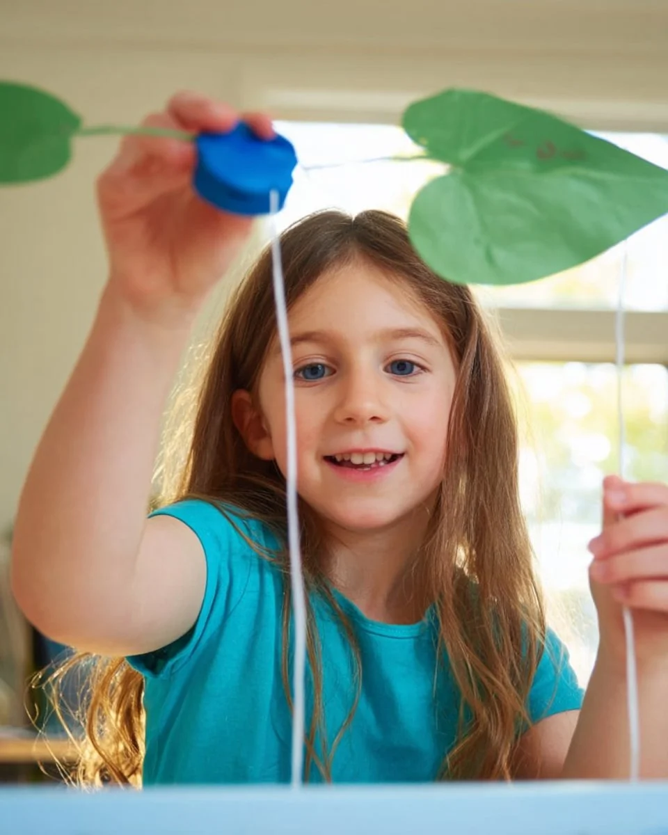 Floating Leaves Experiment