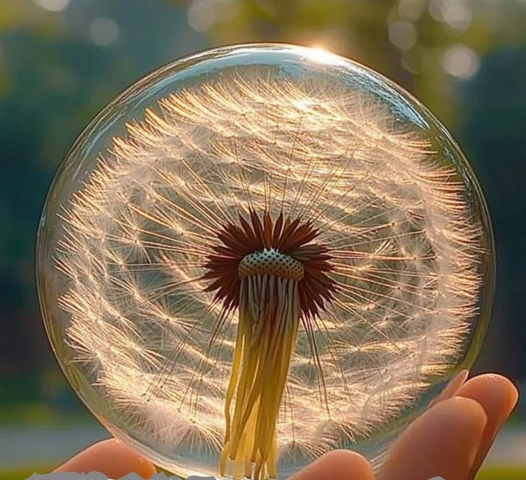 Colored Sugar Water Treats