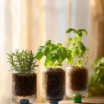 diy self watering planters made from recycled bott 2026 03 30 012302 819x1024 1