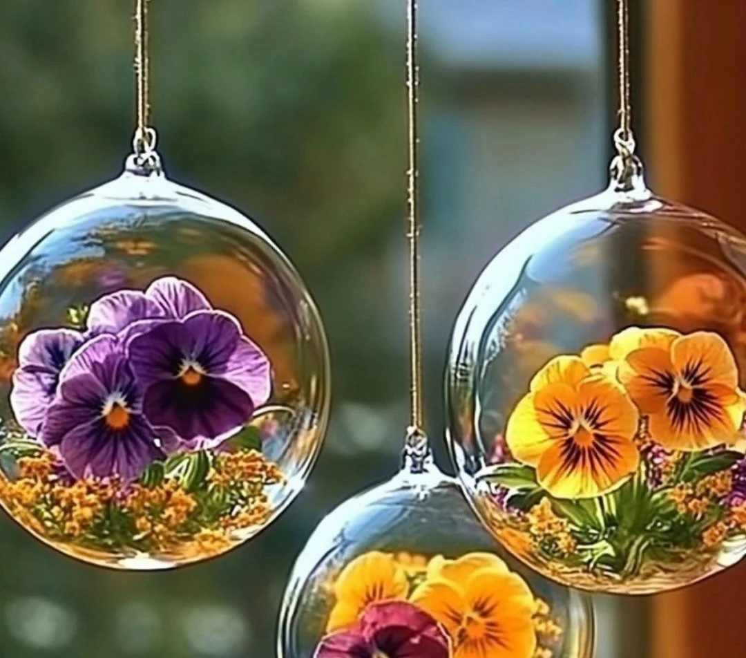 Suncatcher