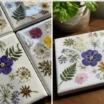 Pressed Flower Coasters 16 pressed flower coasters 2026 07 21 132527 1