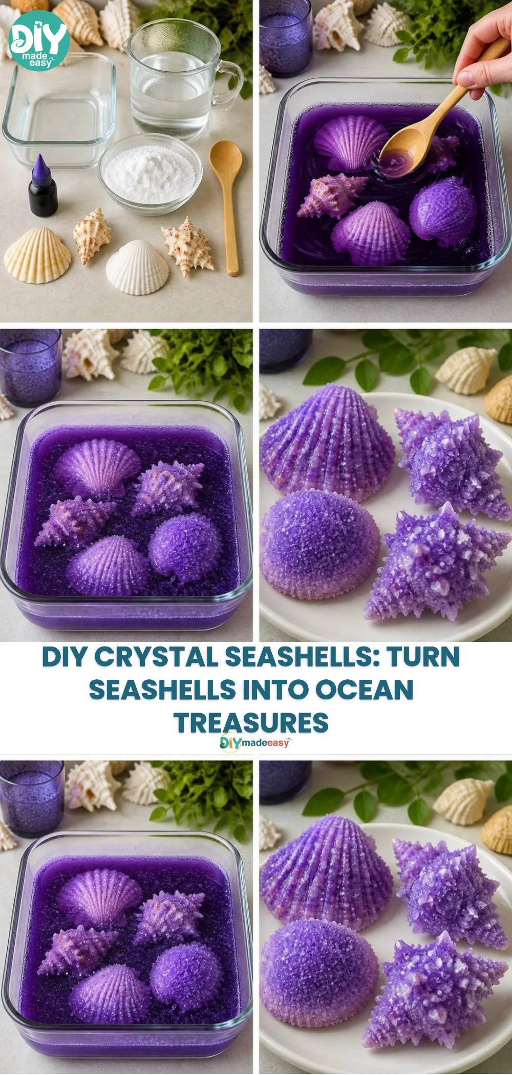 DIY Crystal Seashells: Turn Seashells Into Ocean Treasures
