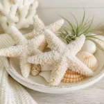 transform dollar store starfish into crystal beach 2026 10 01 151206 1